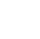 Theme Customizer Icon