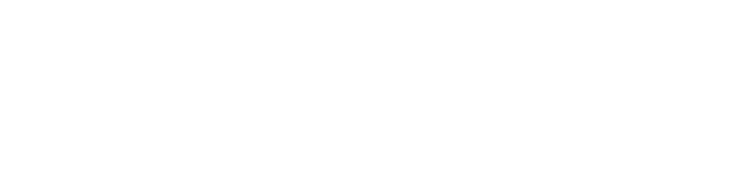 Lever Logo