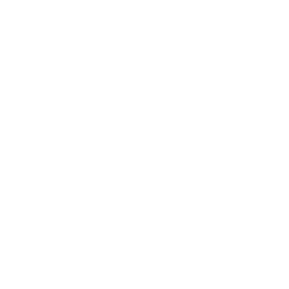Skilljar Icon