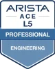ACE Professional Engineering L5